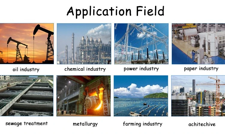 Manufacturing Plant Linear Hydrolyzed Nonionnic Polyacrylamide (2) Manufacturing Plant Linear Hydrolyzed Nonionnic Polyacrylamide (2)