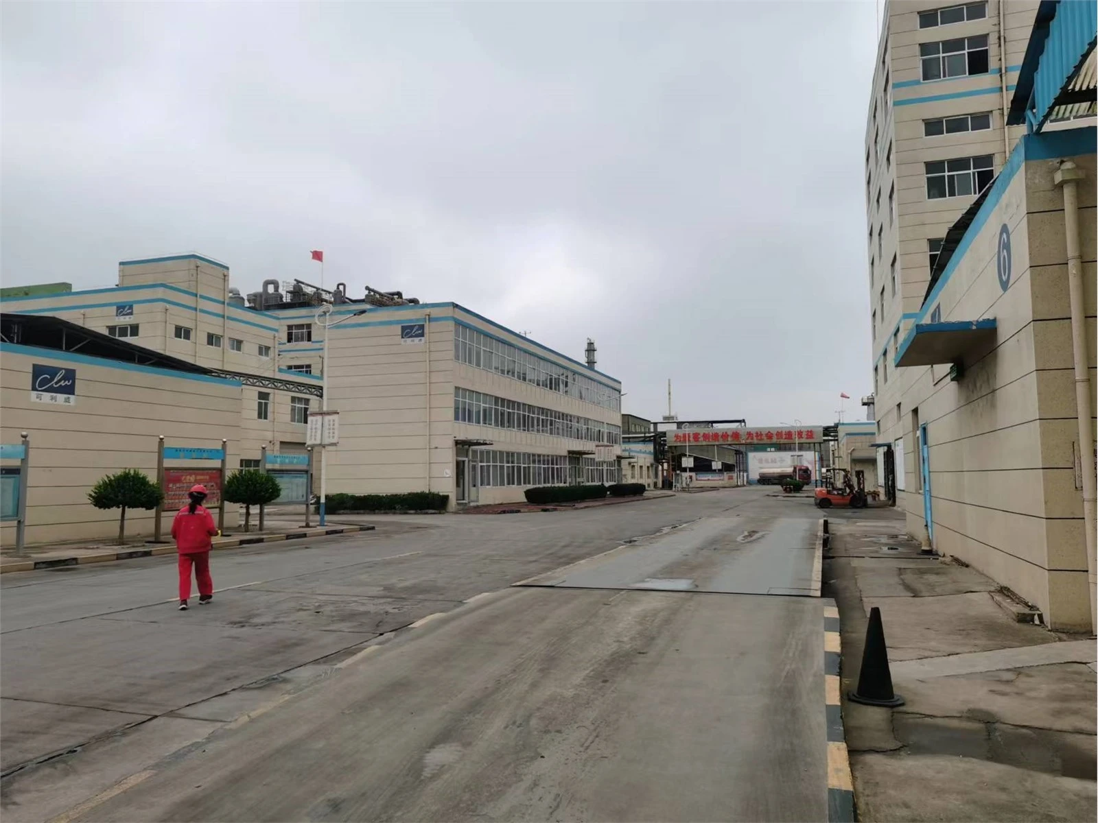 The Manufacturer Calcium Hypochlorite Pellets (6)