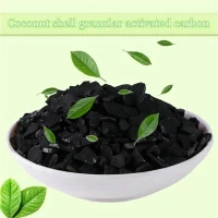 25 kg Granulaire kokosnoot actieve kool Kokosnoot houtskool Koolstof Prijs per kg te koop