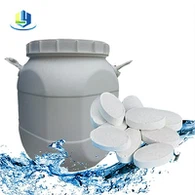 Calciumhypochlorietfabriek 20 g tabletten Zwembaddesinfectie